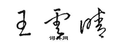 骆恒光王云晴草书个性签名怎么写