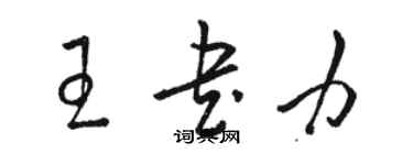 骆恒光王书力草书个性签名怎么写