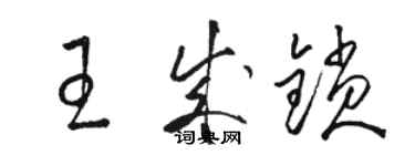 骆恒光王成锁草书个性签名怎么写