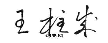骆恒光王柱成草书个性签名怎么写