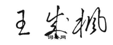 骆恒光王成枫草书个性签名怎么写