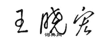 骆恒光王晓宏草书个性签名怎么写