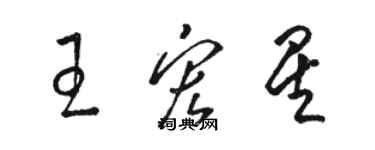 骆恒光王宏星草书个性签名怎么写