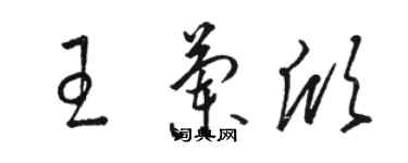 骆恒光王兰欣草书个性签名怎么写