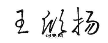 骆恒光王欣扬草书个性签名怎么写