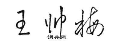骆恒光王帅梅草书个性签名怎么写