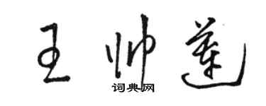 骆恒光王帅莲草书个性签名怎么写