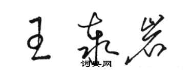 骆恒光王泰岩草书个性签名怎么写