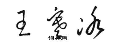 骆恒光王寒冰草书个性签名怎么写