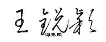 骆恒光王锐颖草书个性签名怎么写
