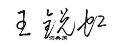 骆恒光王锐虹草书个性签名怎么写