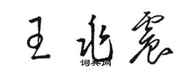 骆恒光王兆震草书个性签名怎么写