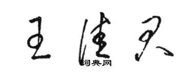 骆恒光王佳君草书个性签名怎么写