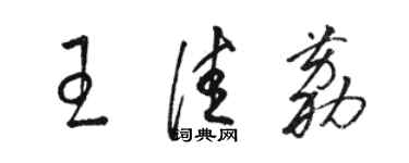 骆恒光王佳荔草书个性签名怎么写