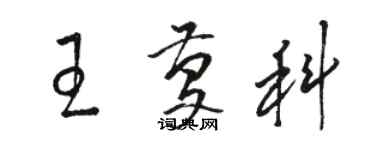 骆恒光王庆科草书个性签名怎么写