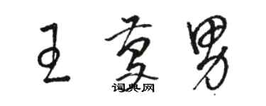 骆恒光王庆男草书个性签名怎么写