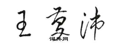 骆恒光王庆沛草书个性签名怎么写