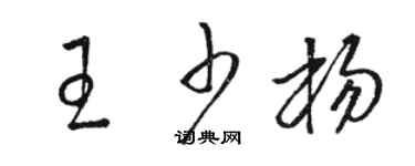 骆恒光王少杨草书个性签名怎么写