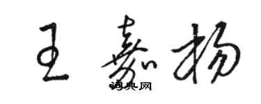 骆恒光王嘉杨草书个性签名怎么写