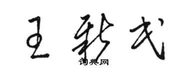骆恒光王新民草书个性签名怎么写