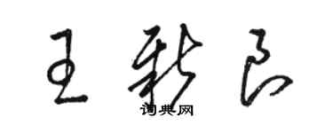 骆恒光王新良草书个性签名怎么写