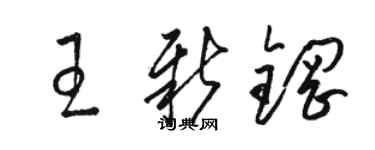 骆恒光王新钢草书个性签名怎么写
