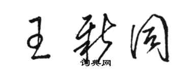 骆恒光王新同草书个性签名怎么写