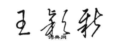 骆恒光王颖新草书个性签名怎么写