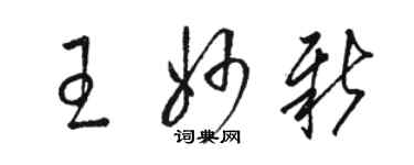 骆恒光王妙新草书个性签名怎么写