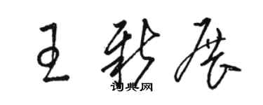 骆恒光王新展草书个性签名怎么写
