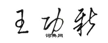 骆恒光王功新草书个性签名怎么写