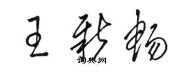 骆恒光王新畅草书个性签名怎么写