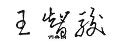 骆恒光王智骏草书个性签名怎么写