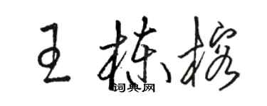 骆恒光王栋榕草书个性签名怎么写