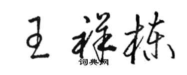 骆恒光王祥栋草书个性签名怎么写