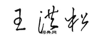 骆恒光王洪松草书个性签名怎么写