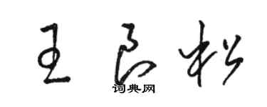 骆恒光王良松草书个性签名怎么写