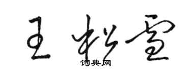 骆恒光王松雪草书个性签名怎么写