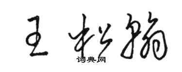 骆恒光王松翰草书个性签名怎么写