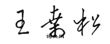 骆恒光王桑松草书个性签名怎么写