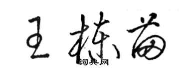 骆恒光王栋苗草书个性签名怎么写