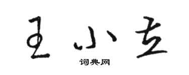 骆恒光王小立草书个性签名怎么写