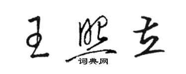 骆恒光王照立草书个性签名怎么写