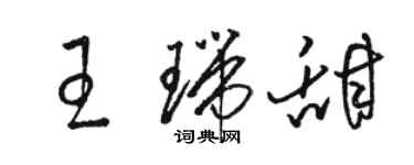 骆恒光王瑞甜草书个性签名怎么写
