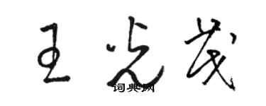 骆恒光王光茂草书个性签名怎么写