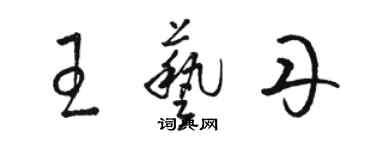 骆恒光王艺丹草书个性签名怎么写