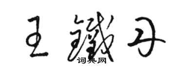 骆恒光王铁丹草书个性签名怎么写