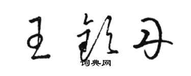 骆恒光王钦丹草书个性签名怎么写
