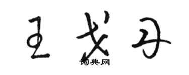 骆恒光王戈丹草书个性签名怎么写