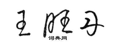 骆恒光王旺丹草书个性签名怎么写